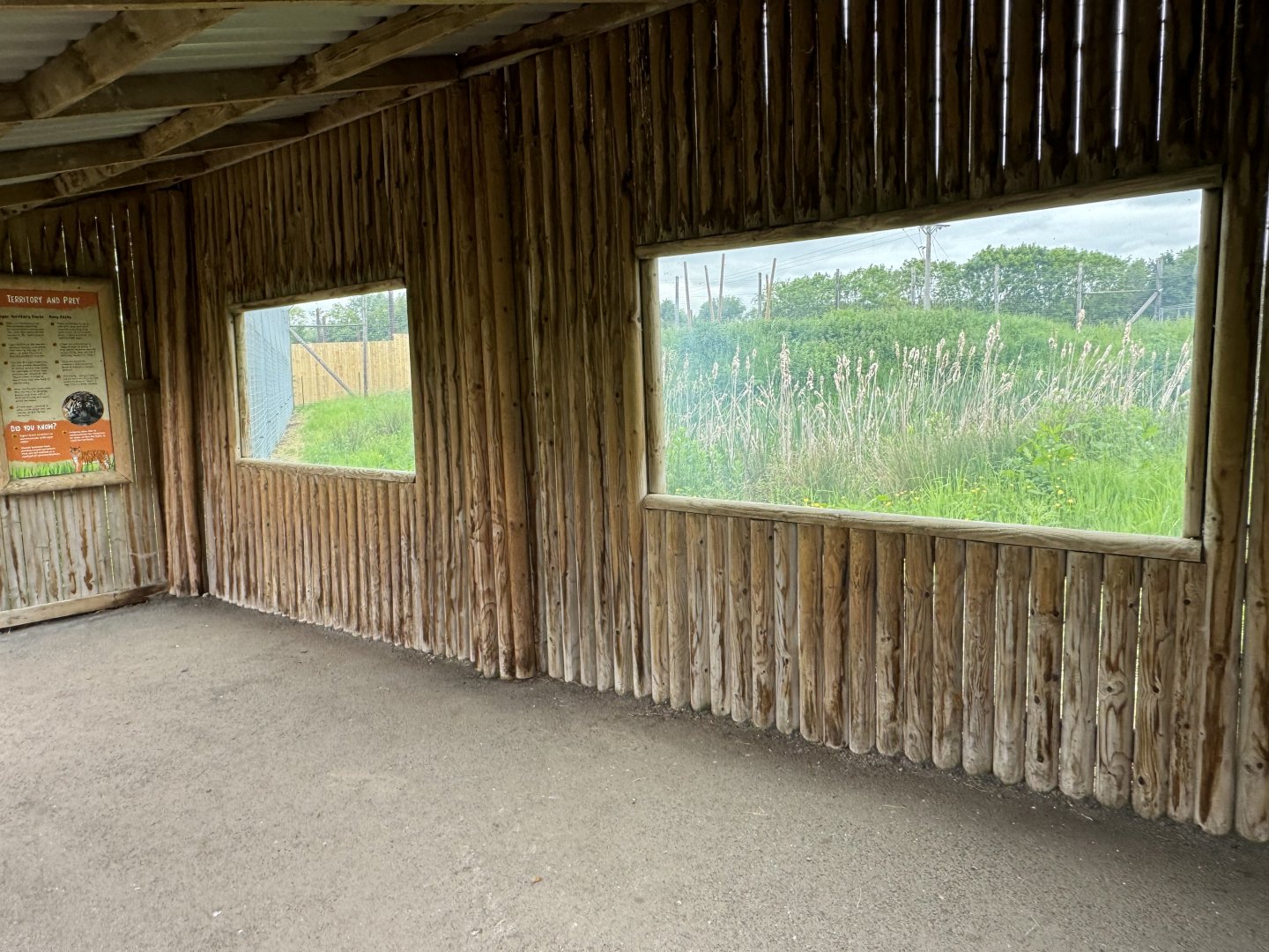 Tiger Viewing Area at Woodside Wildlife Park (May 2024)