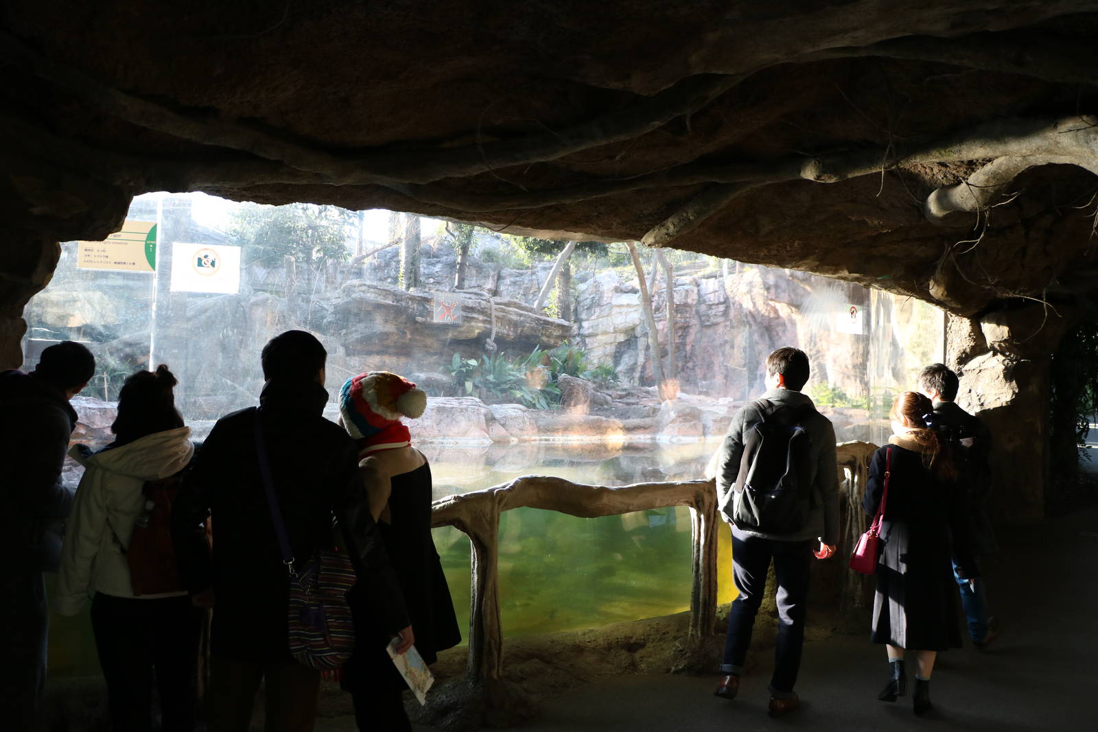 Tiger viewing area, February 2016