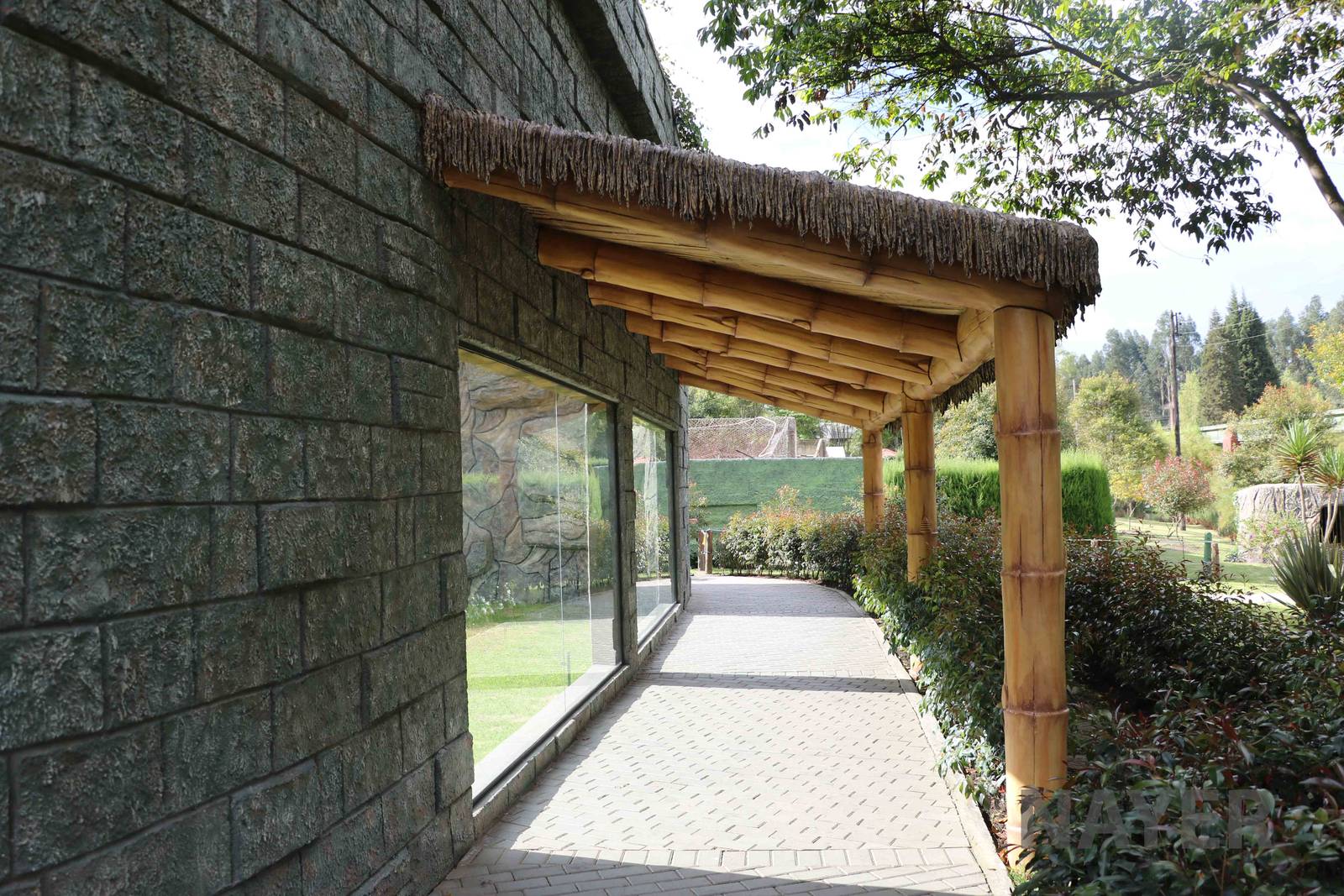 Tiger viewing area, March 2016