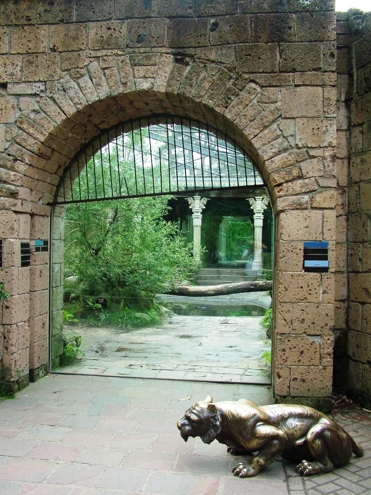 Tiger Viewing at Amersfoort, 01/06/12