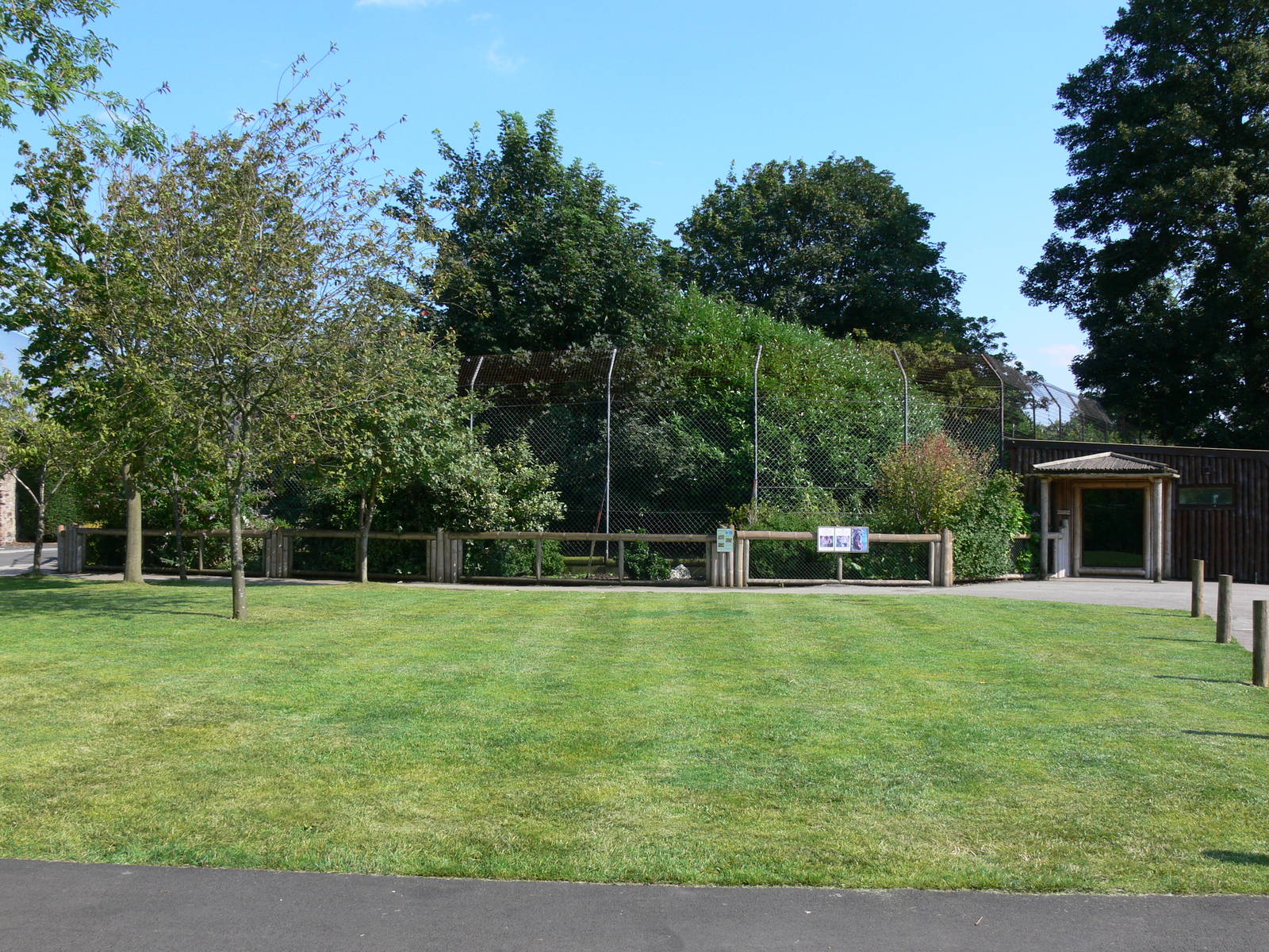 Tiger Viewing at Chester, 23/07/14
