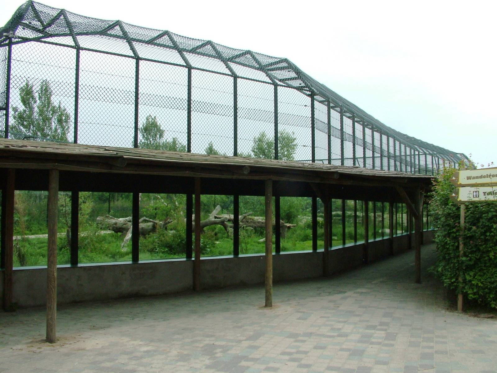 Tiger Viewing at Dierenrijk, 31/05/12