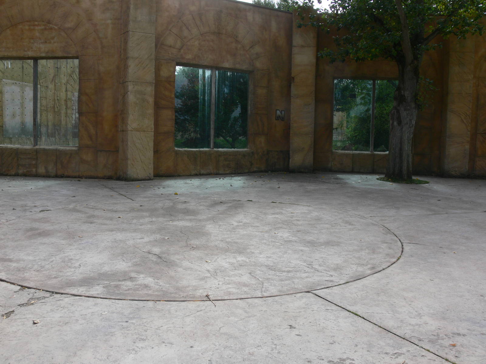 Tiger viewing at Flamingo Land, 21/09/13