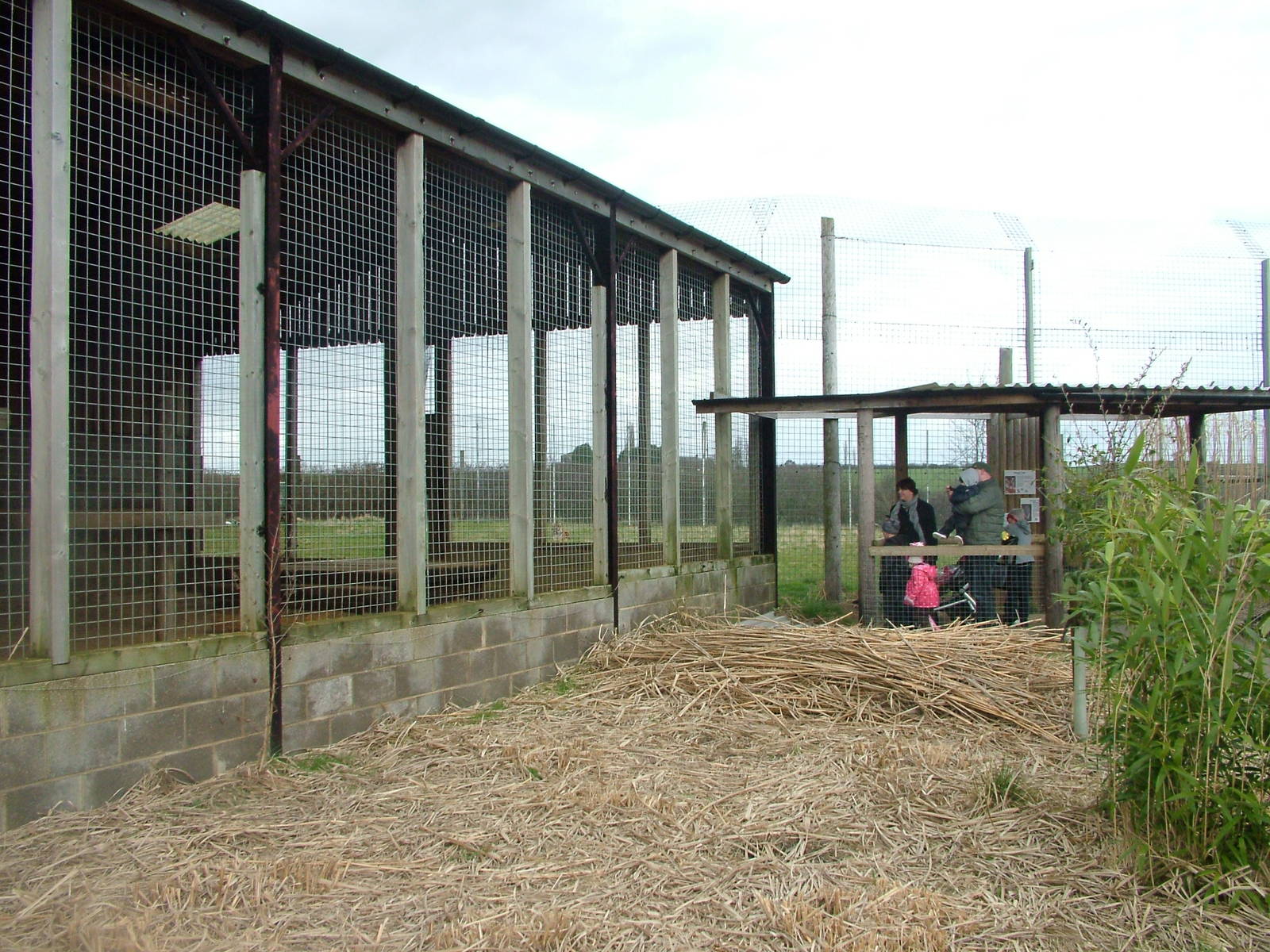 Tiger viewing at Hamerton 05/04/10