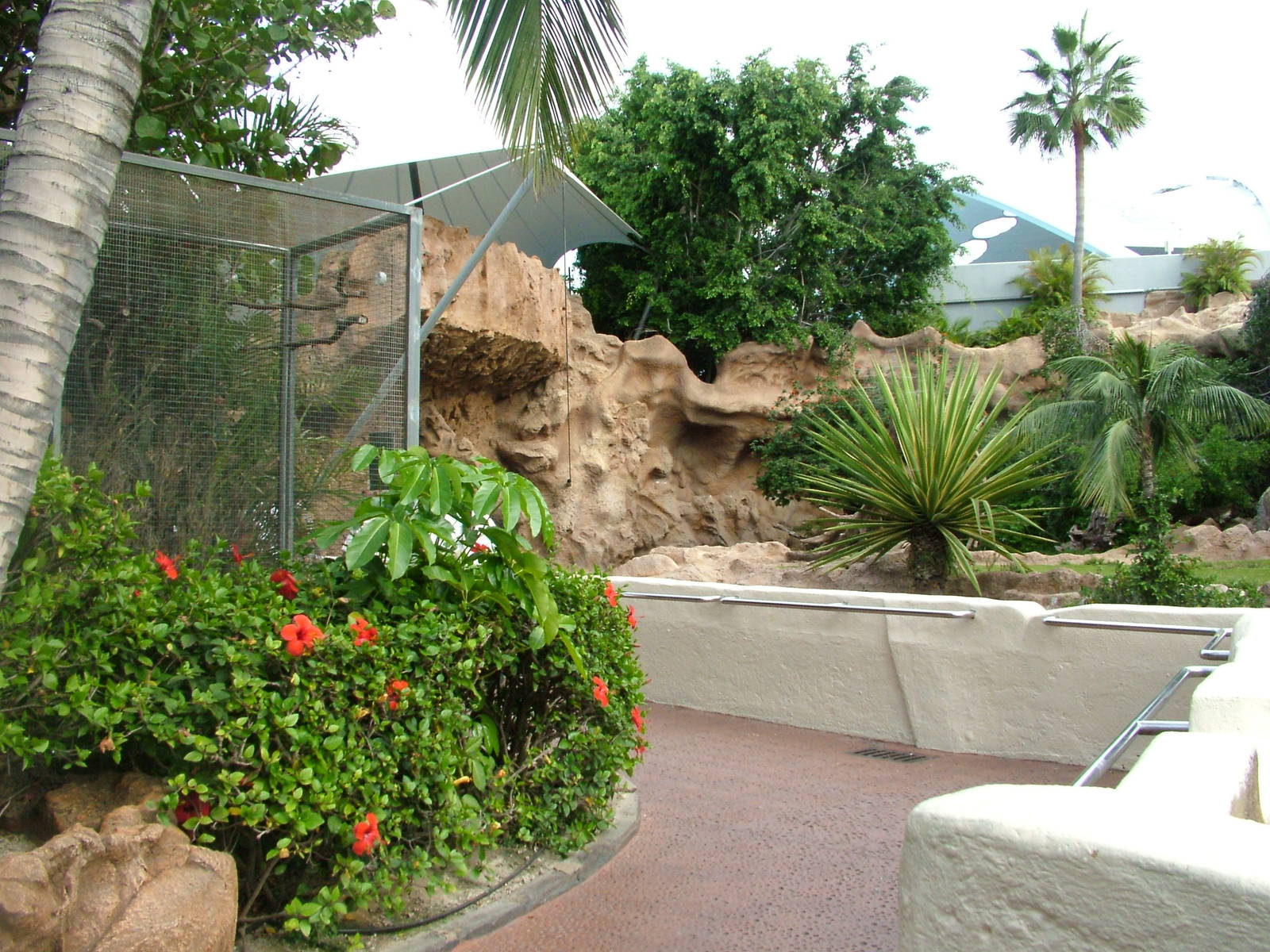 Tiger viewing at Loro Parque, 08/11/10