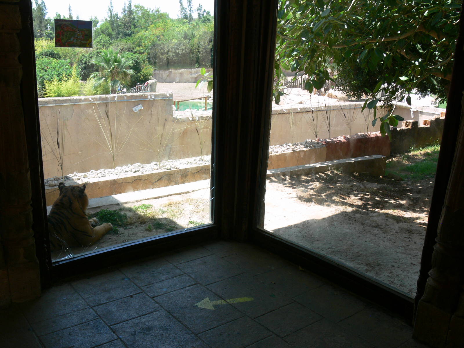 Tiger Viewing at Terra Natura, 03/08/14