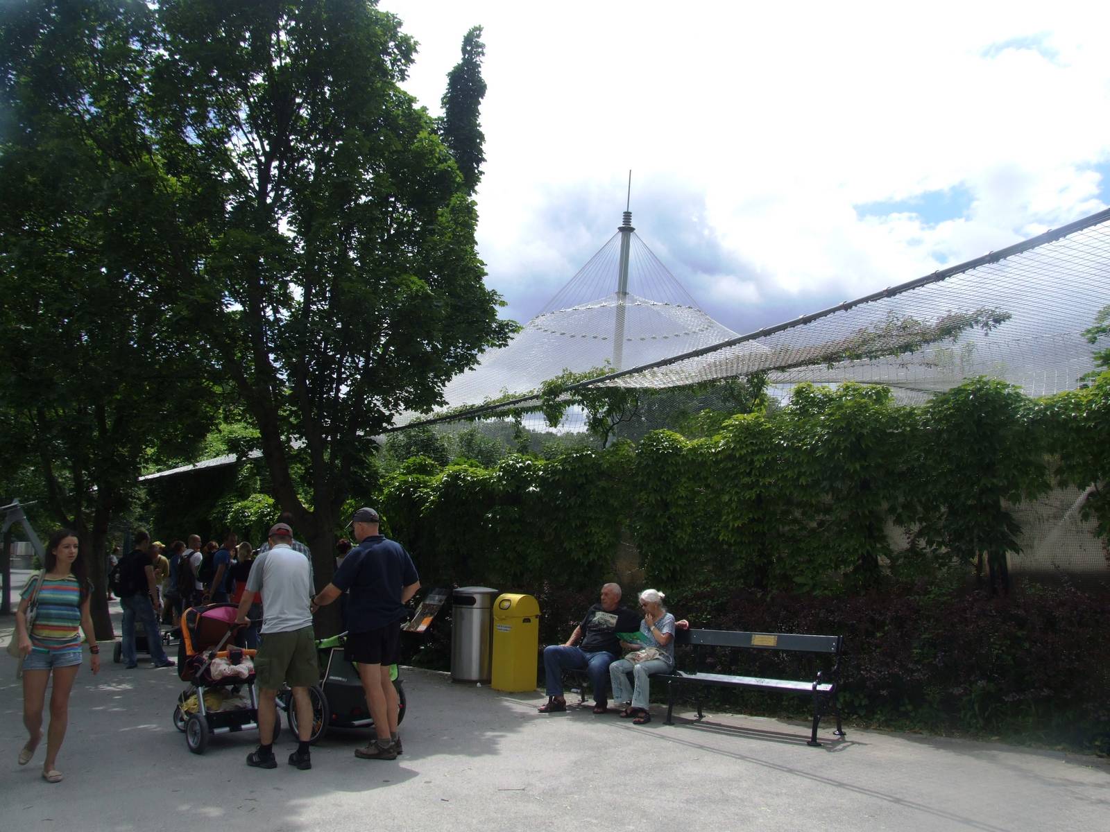 Tiger Viewing at Vienna, 14/06/13