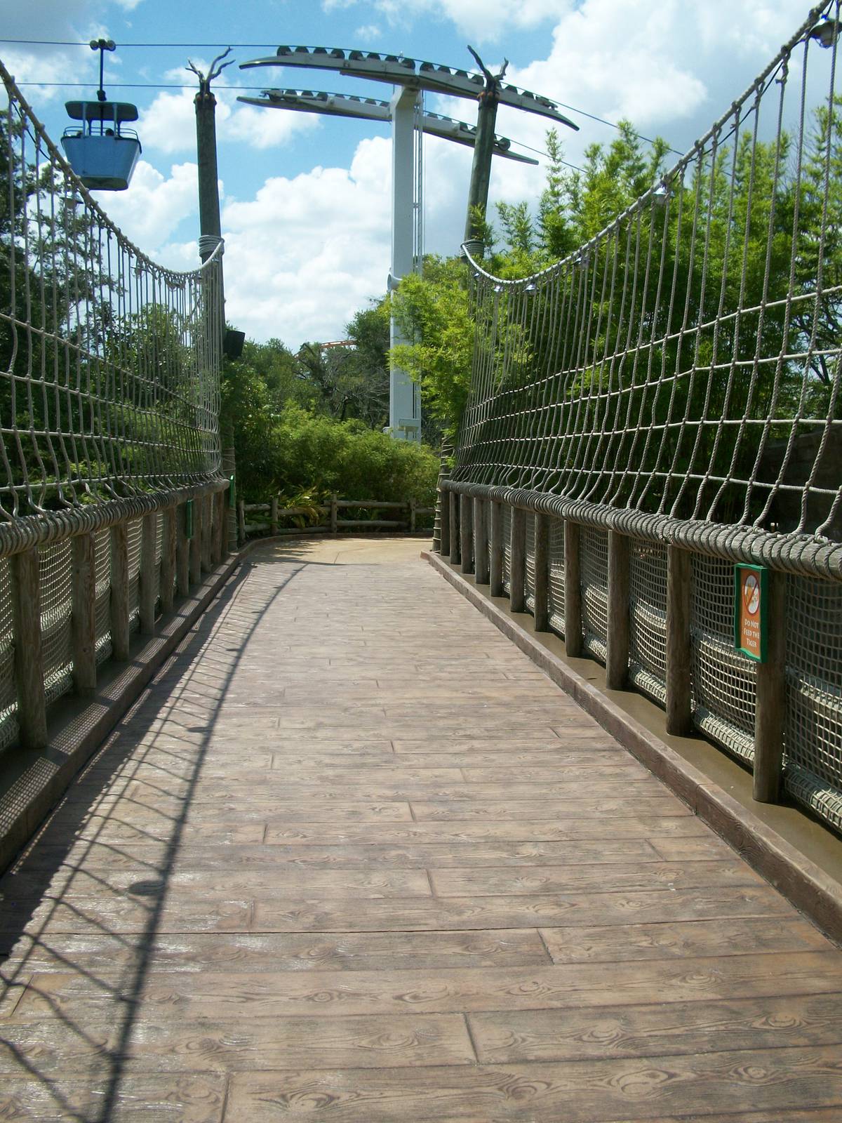 Tiger Viewing Bridge