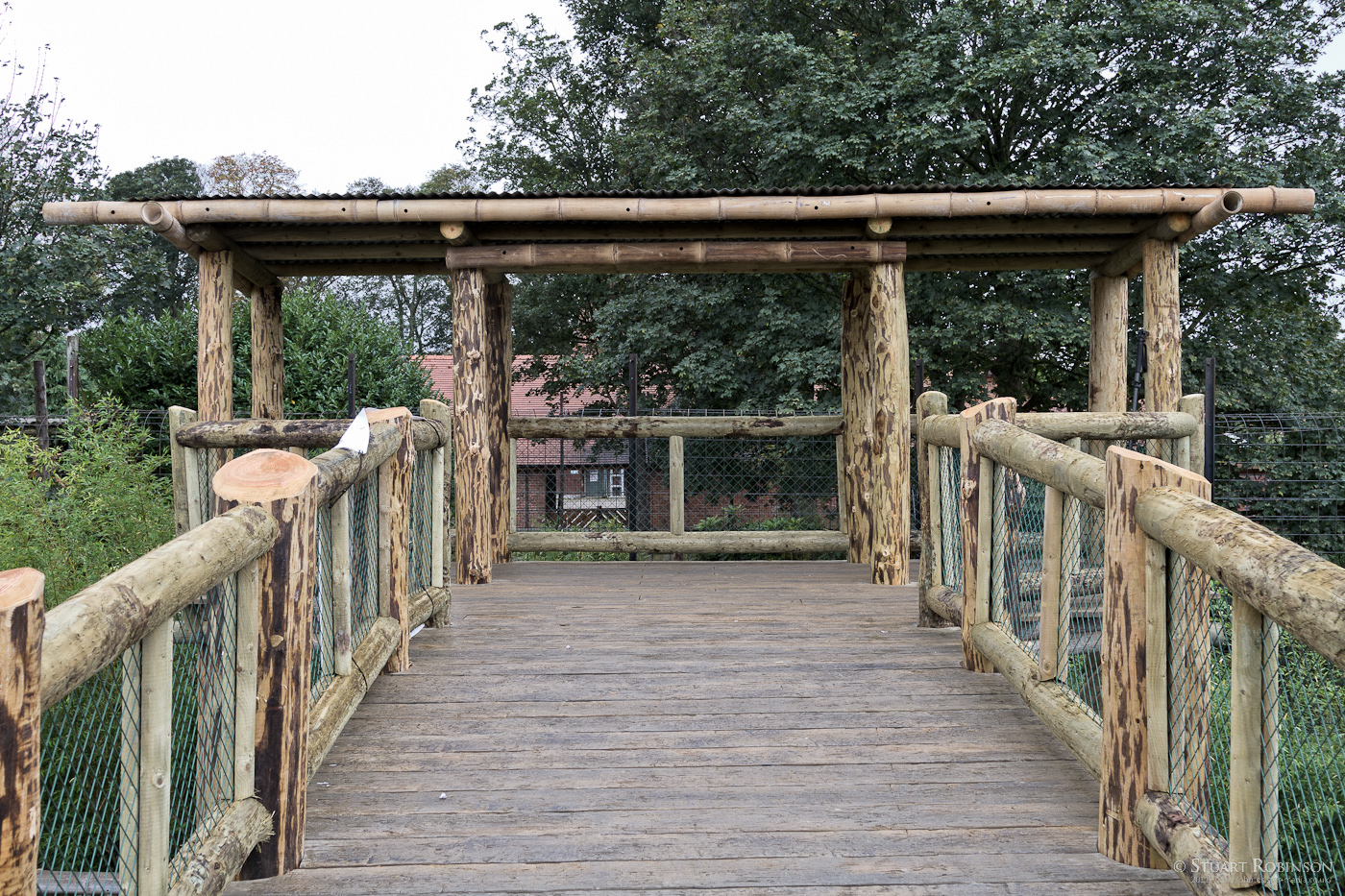 Tiger Viewing Platform - 12/10/2011