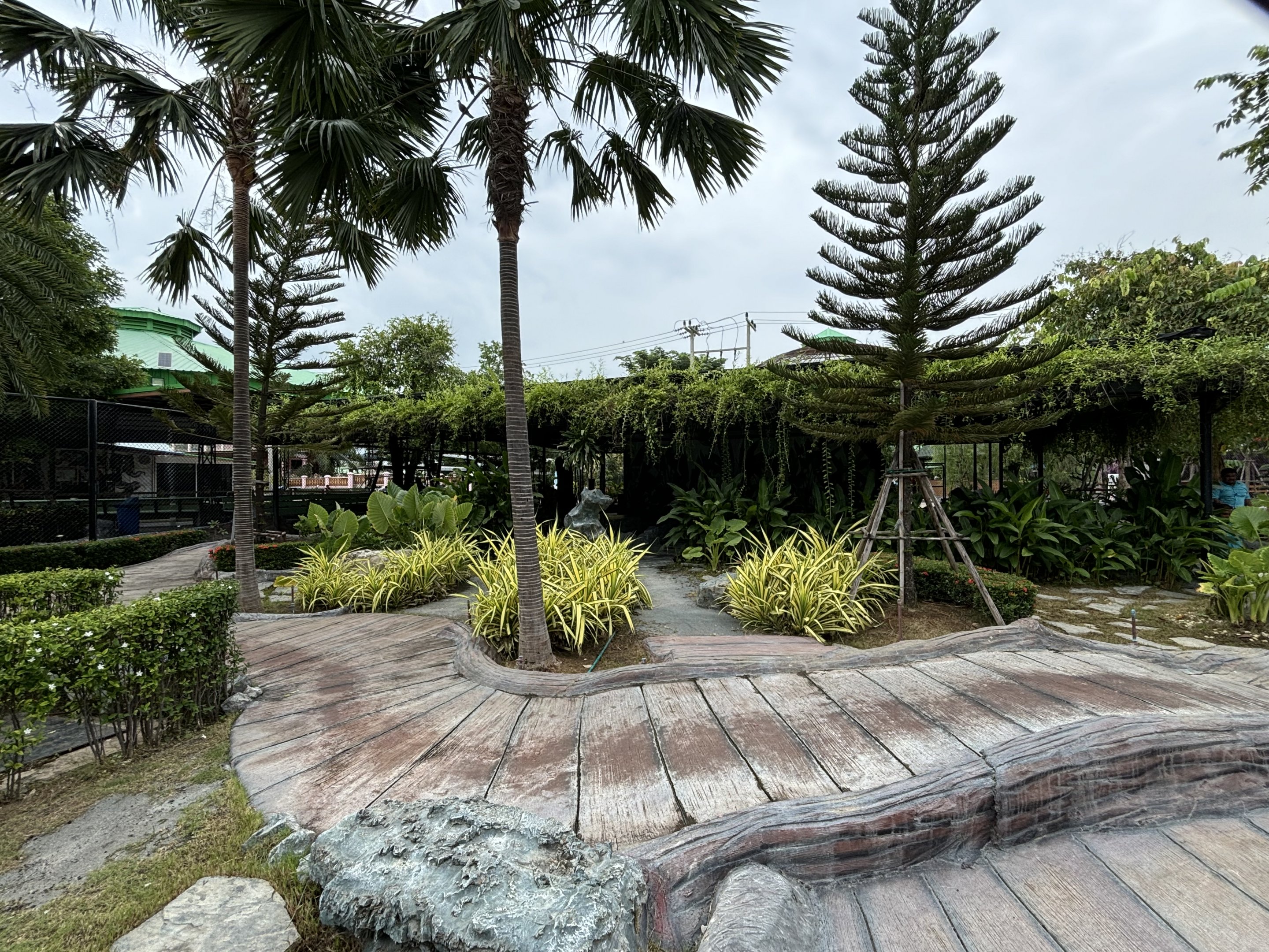 Tiger Walking Area - Lion Park