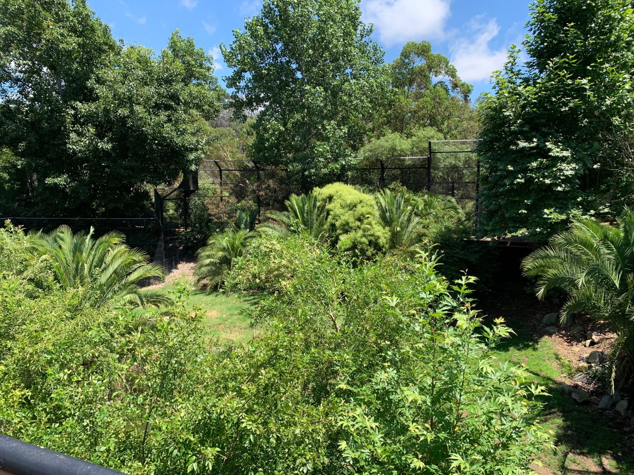 Tiger Wetlands Enclosure (Right side)