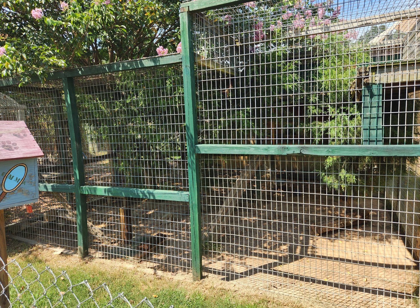 Tiger World - Bobcat exhibit
