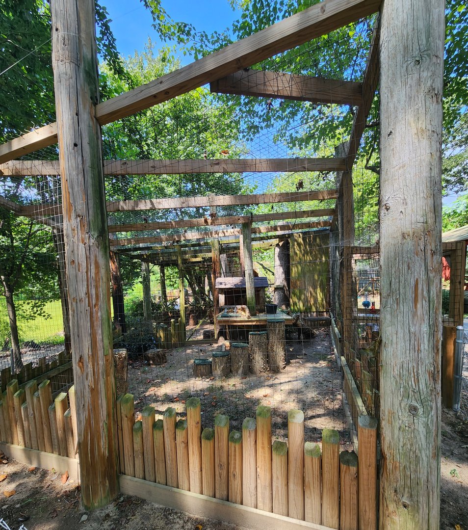 Tiger World - Eurasian Eagle Owl exhibit