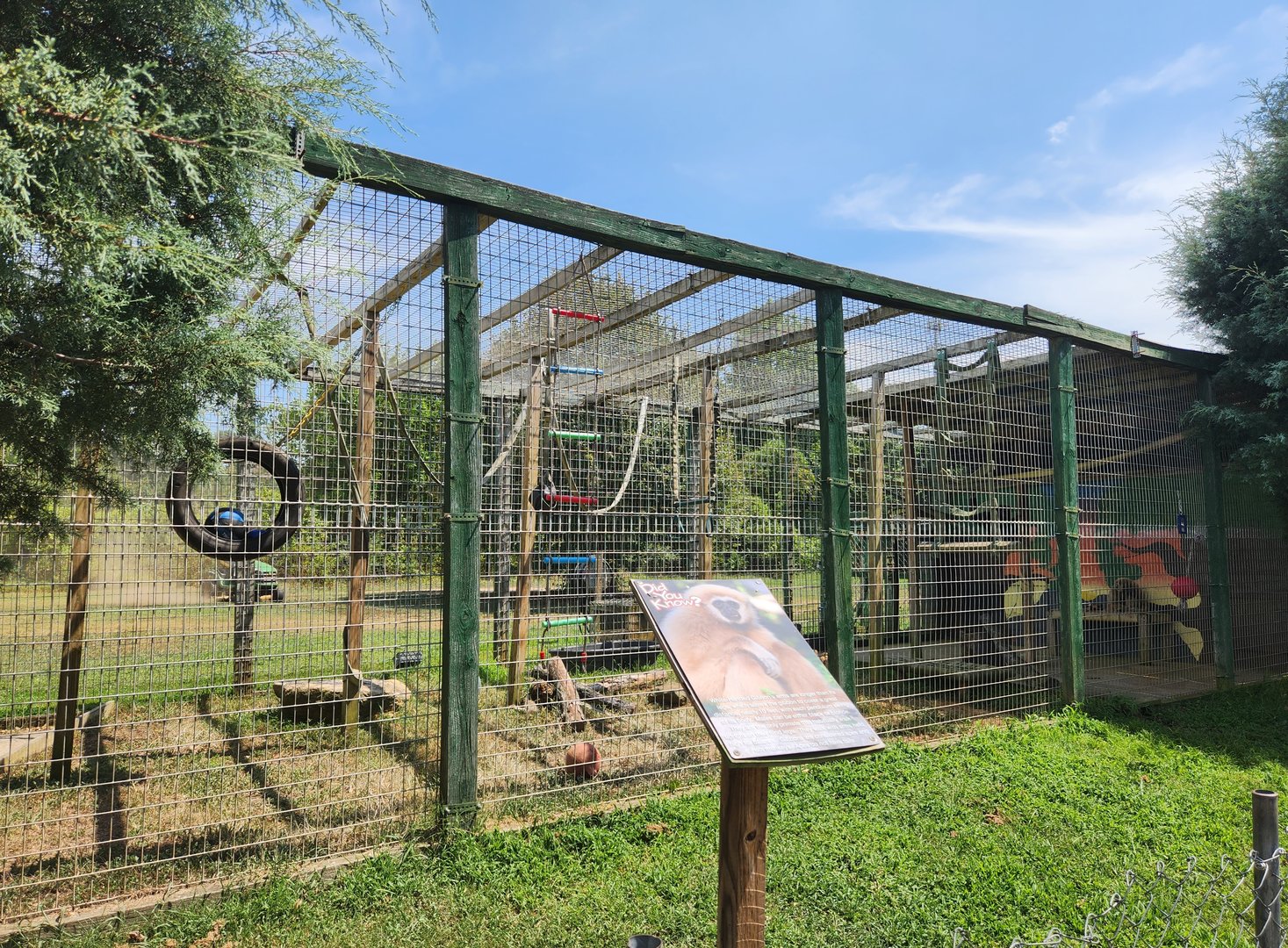 Tiger World - Gibbon exhibit