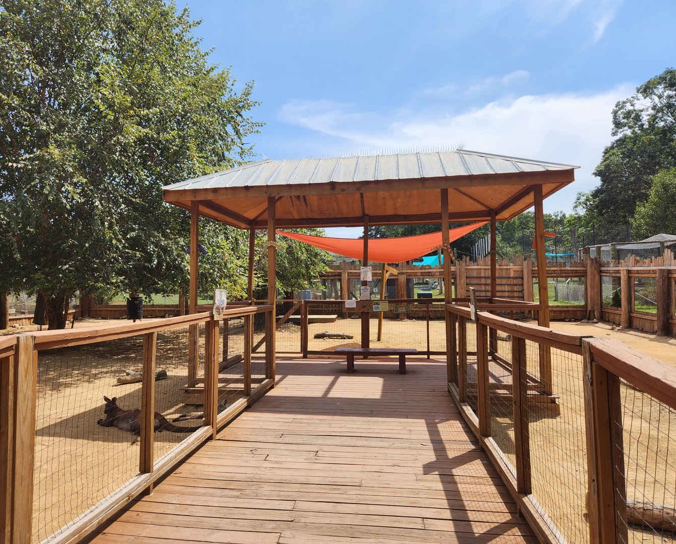 Tiger World - Kangaroo boardwalk