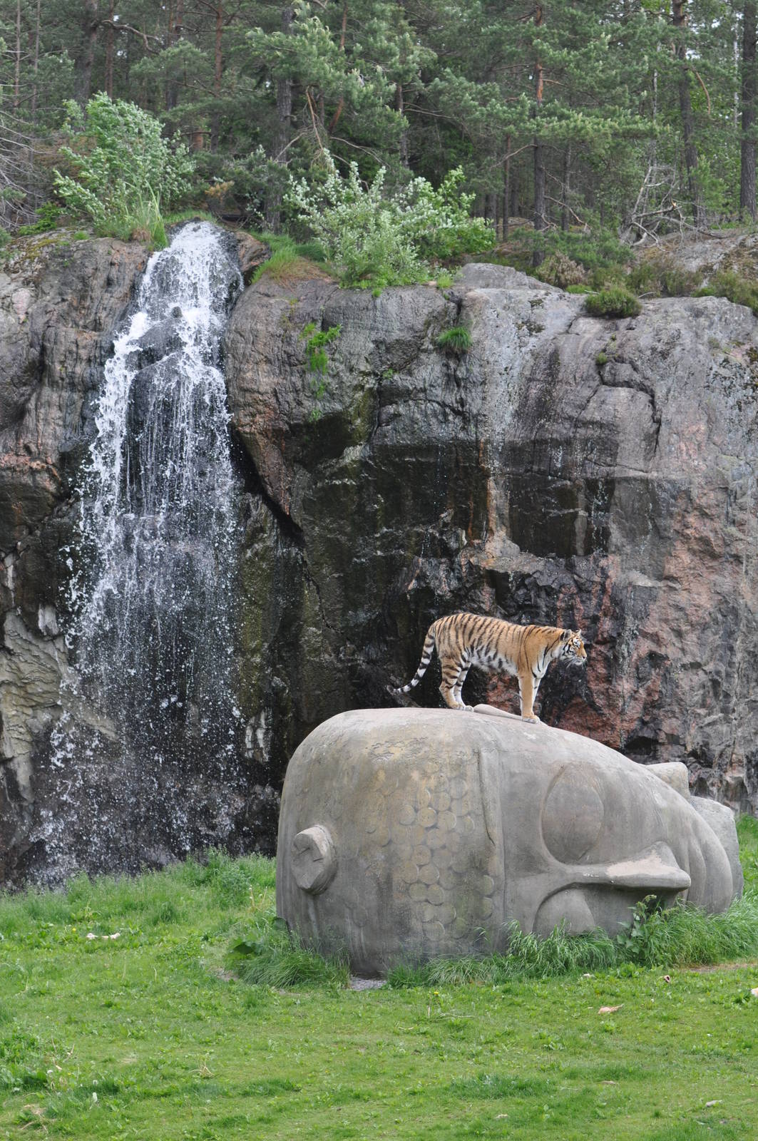 Tiger World Kolmarden Wildlife Park