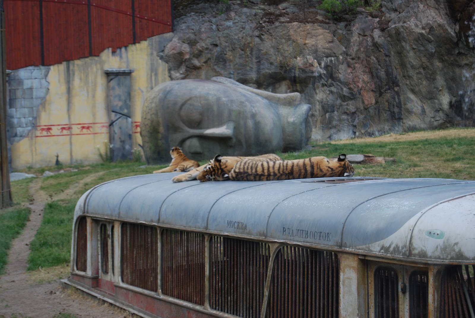 Tiger World Kolmarden