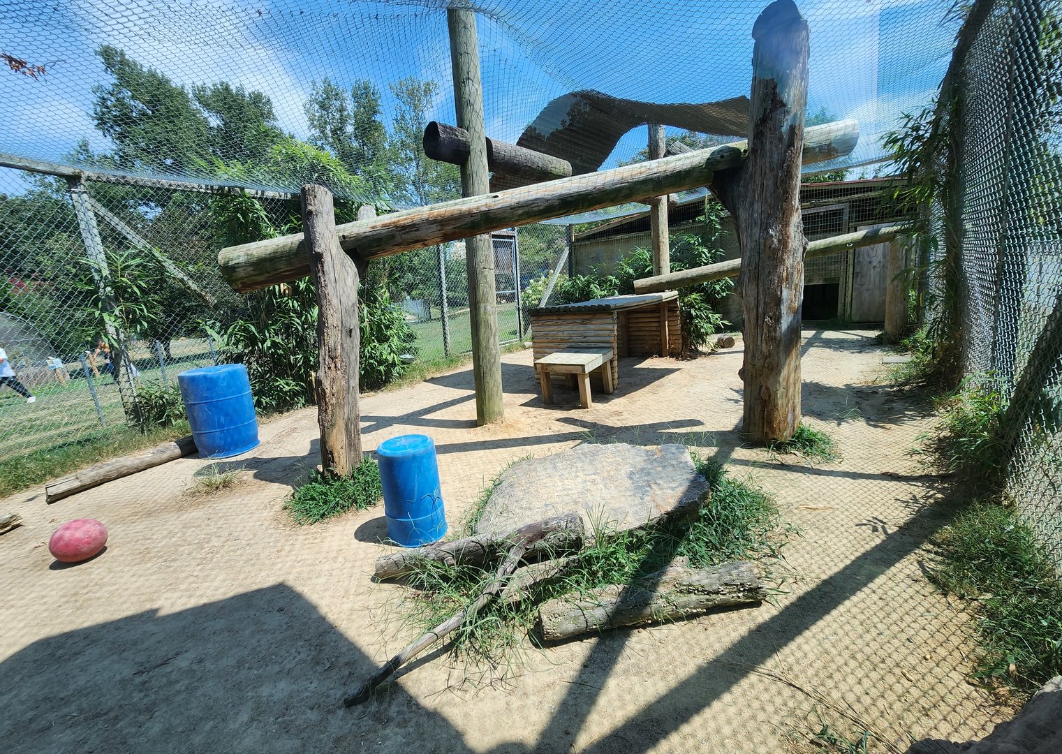 Tiger World - Leopard enclosure
