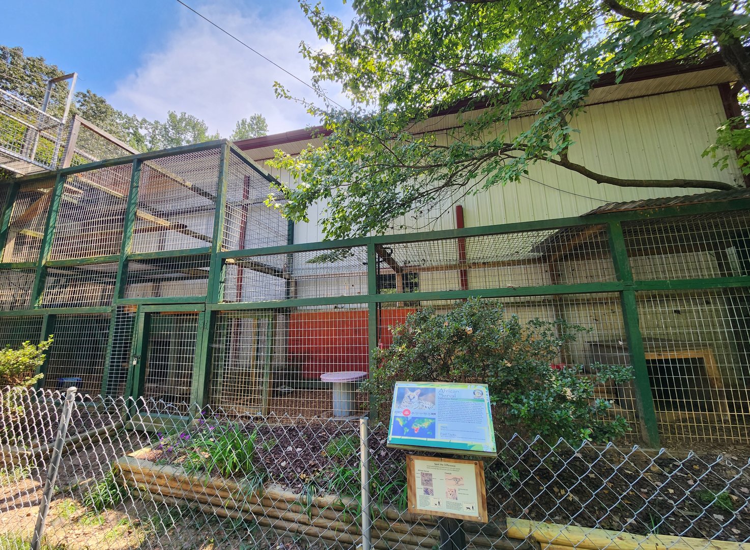 Tiger World - Serval enclosure #1