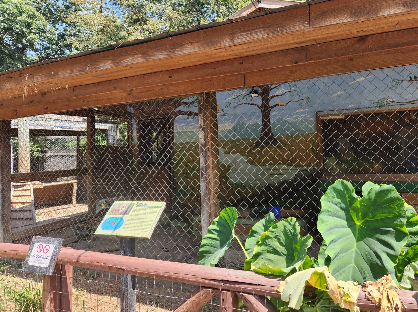 Tiger World - Serval enslosure #2