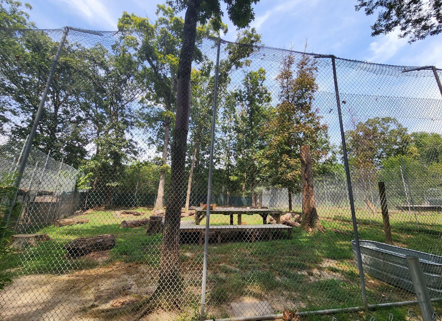Tiger World - Siberian Tiger exhibit