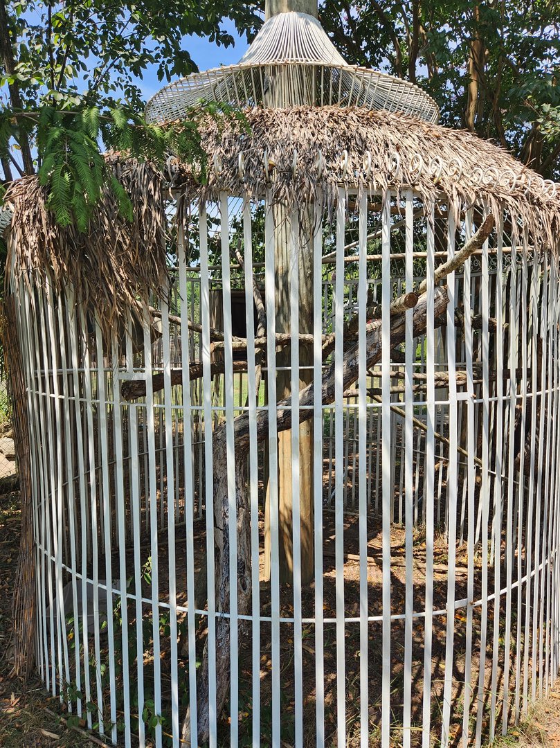 Tiger World - Sloth exhibit = worst viewing experience ever