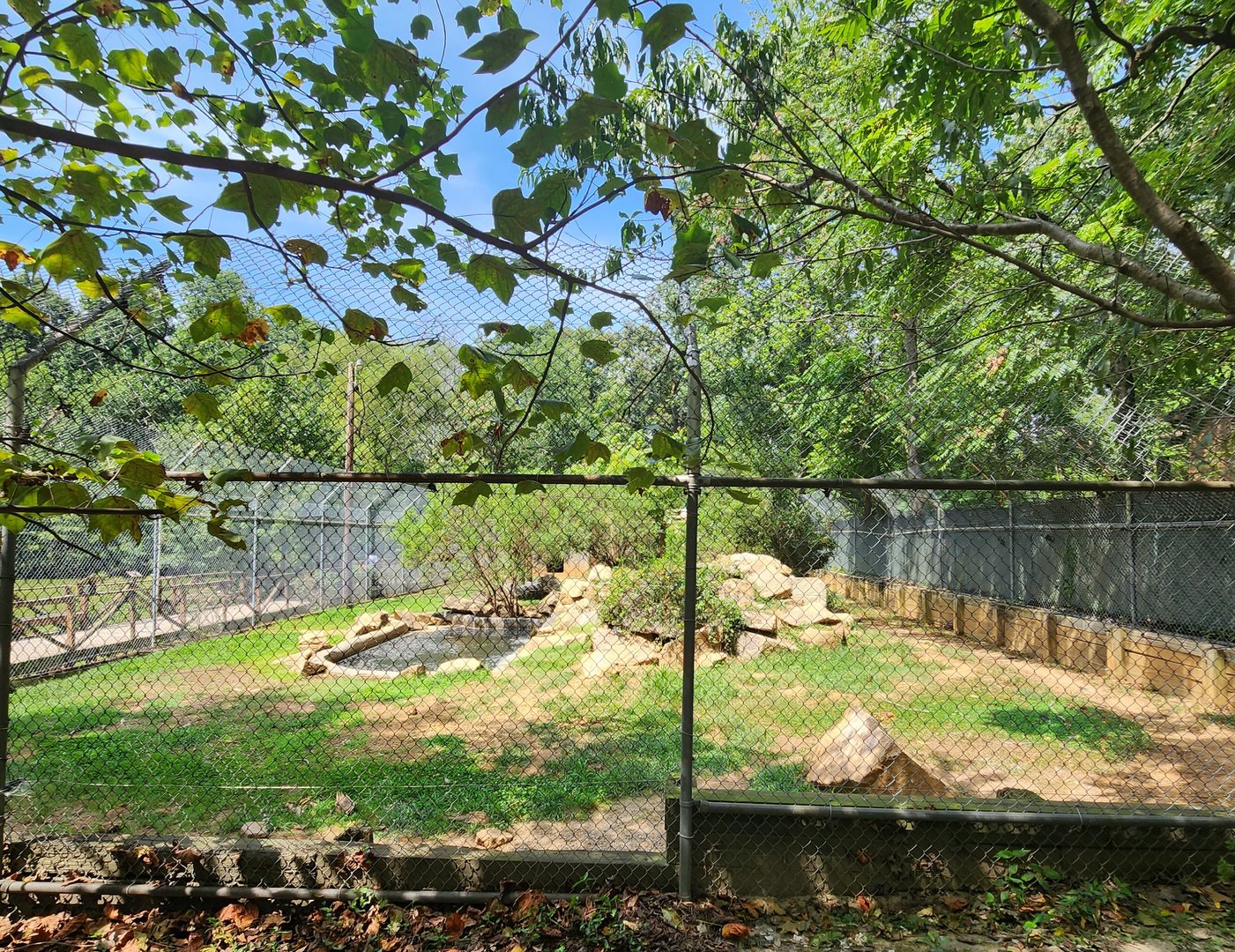 Tiger World - Syrian Brown Bear exhibit