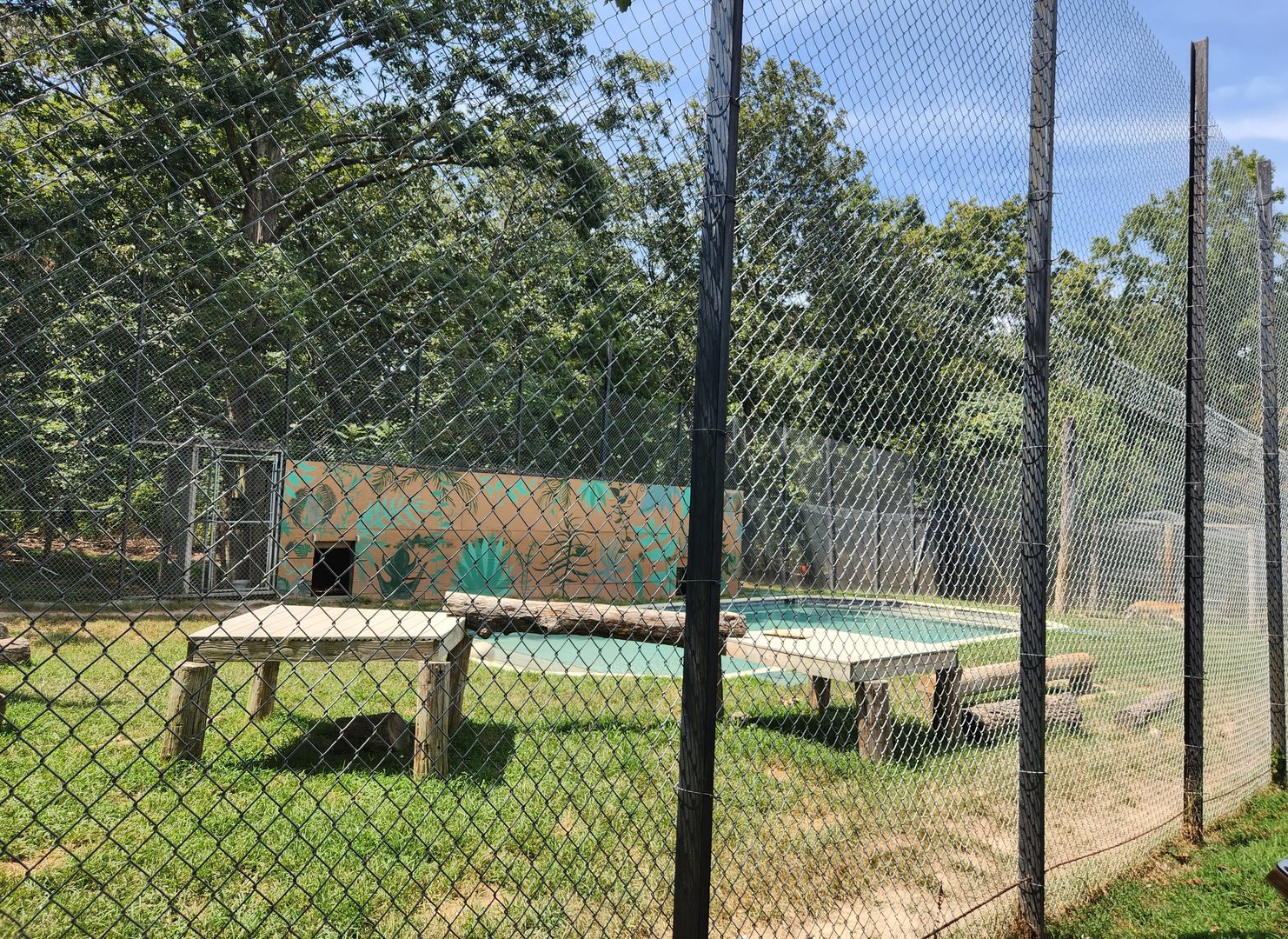 Tiger World - Tiger exhibit with large pool