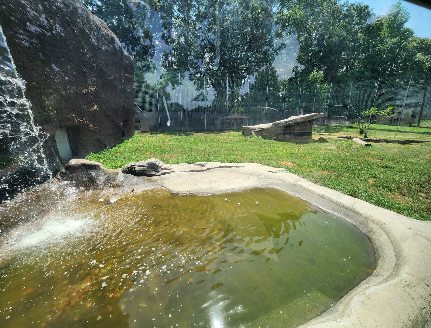 Tiger World - "Timbavati Falls" exhibit