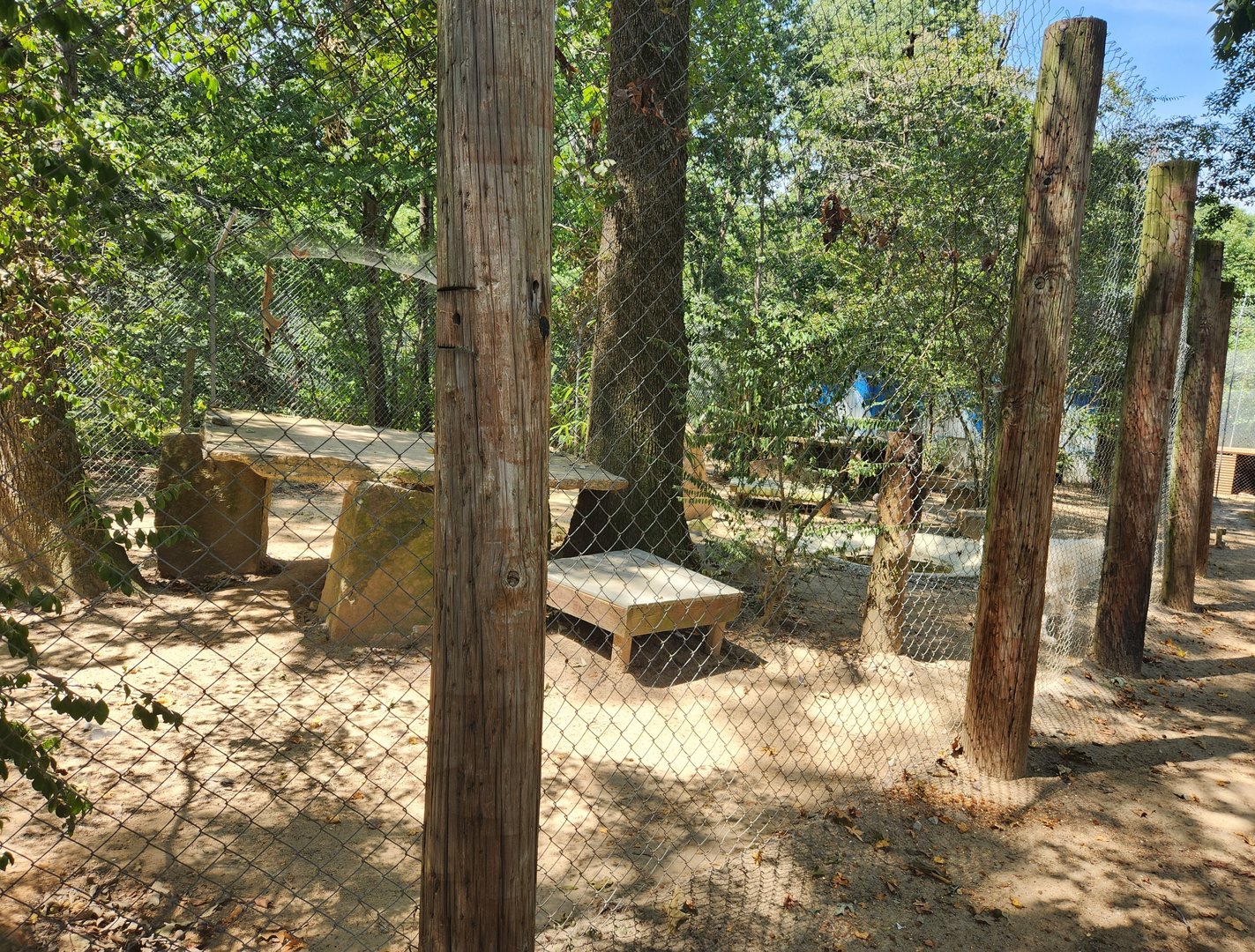 Tiger World - Wolf enclosure