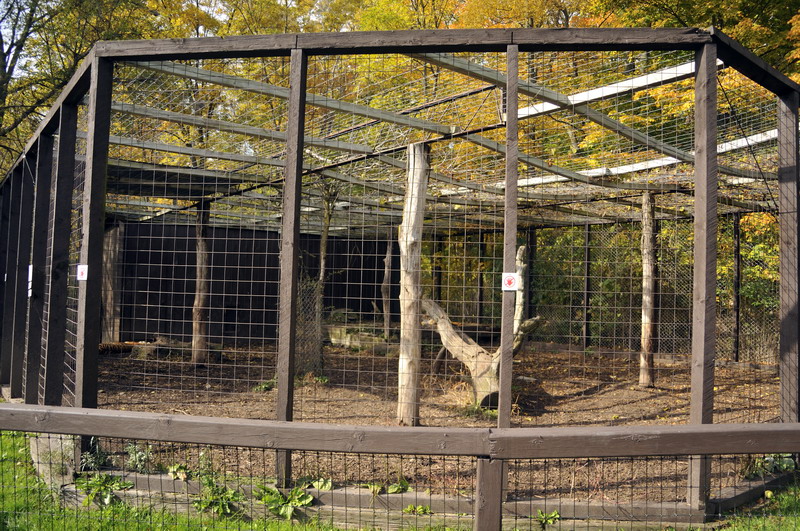 Tigercage at Twin Vally Zoo