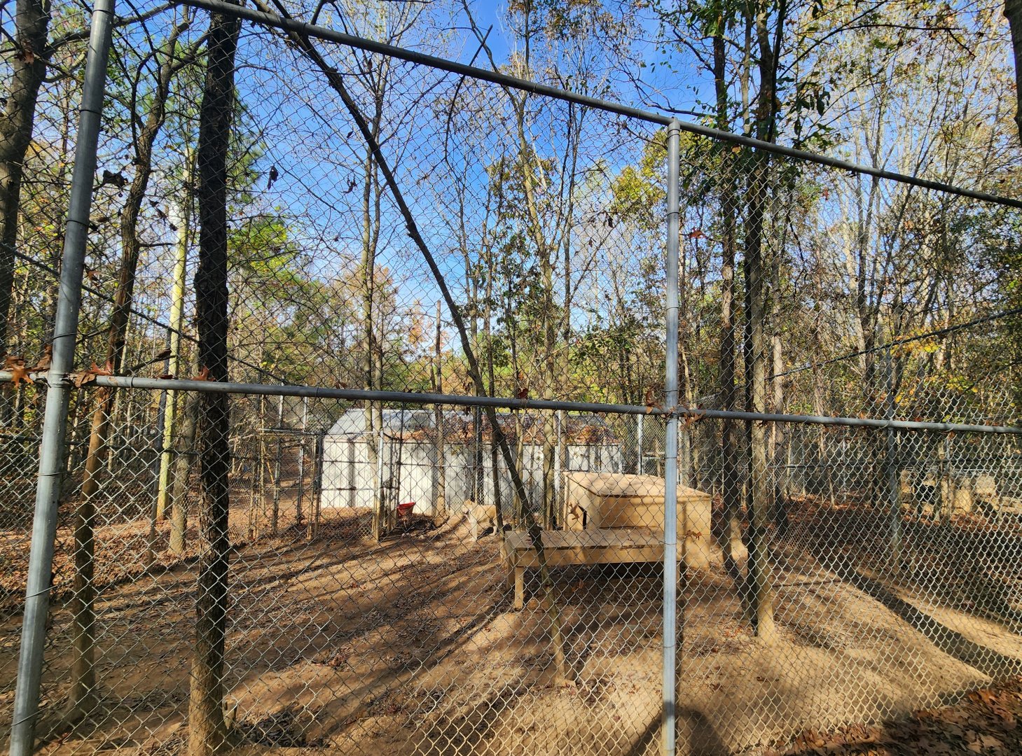 Tigers For Tomorrow - Wolf enclosure