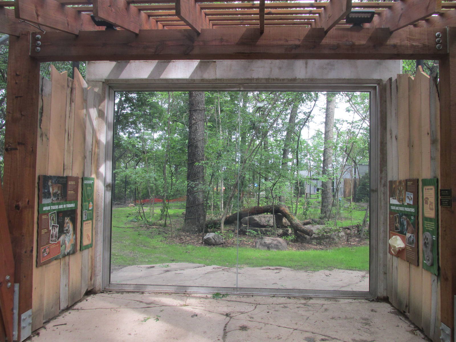 Tigers of the Realm Main Viewing