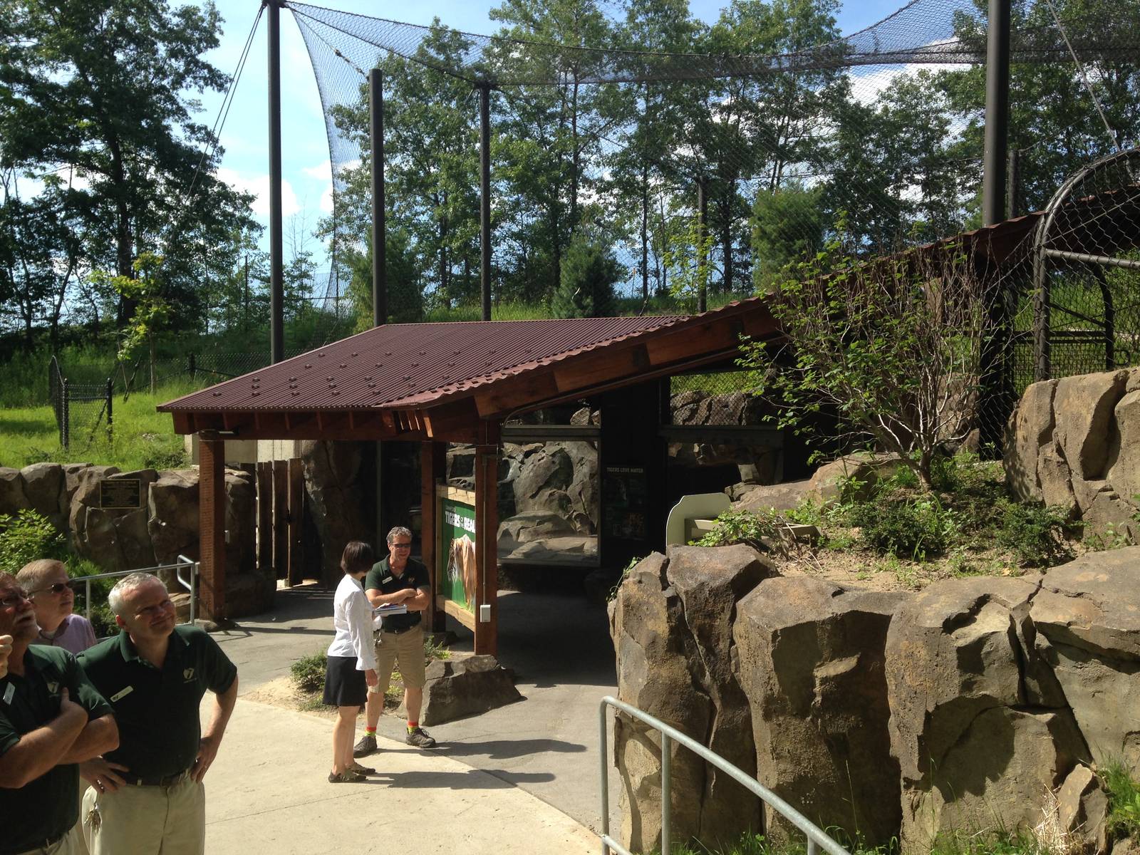 Tigers of the Realm - second phase - Jungle River