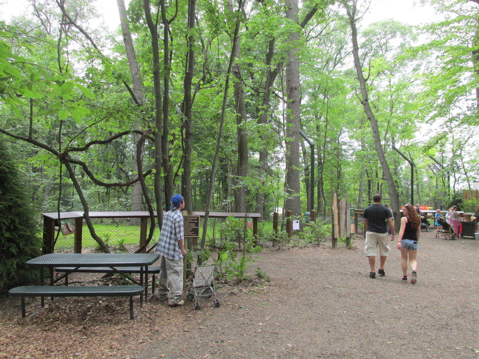 Tigers of the Realm Side Viewing (by cafe)