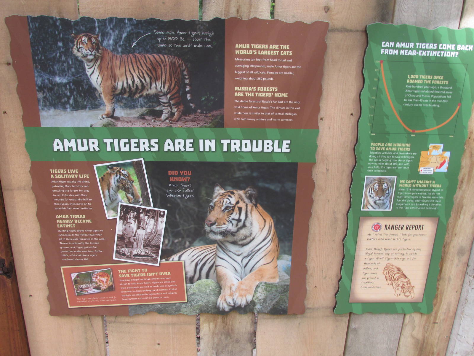 Tigers of the Realm Signage 1