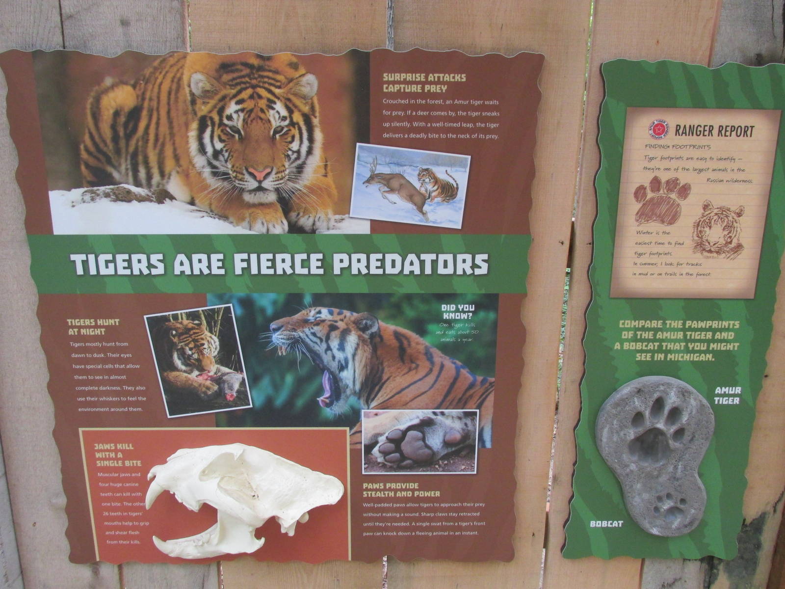 Tigers of the Realm Signage 2