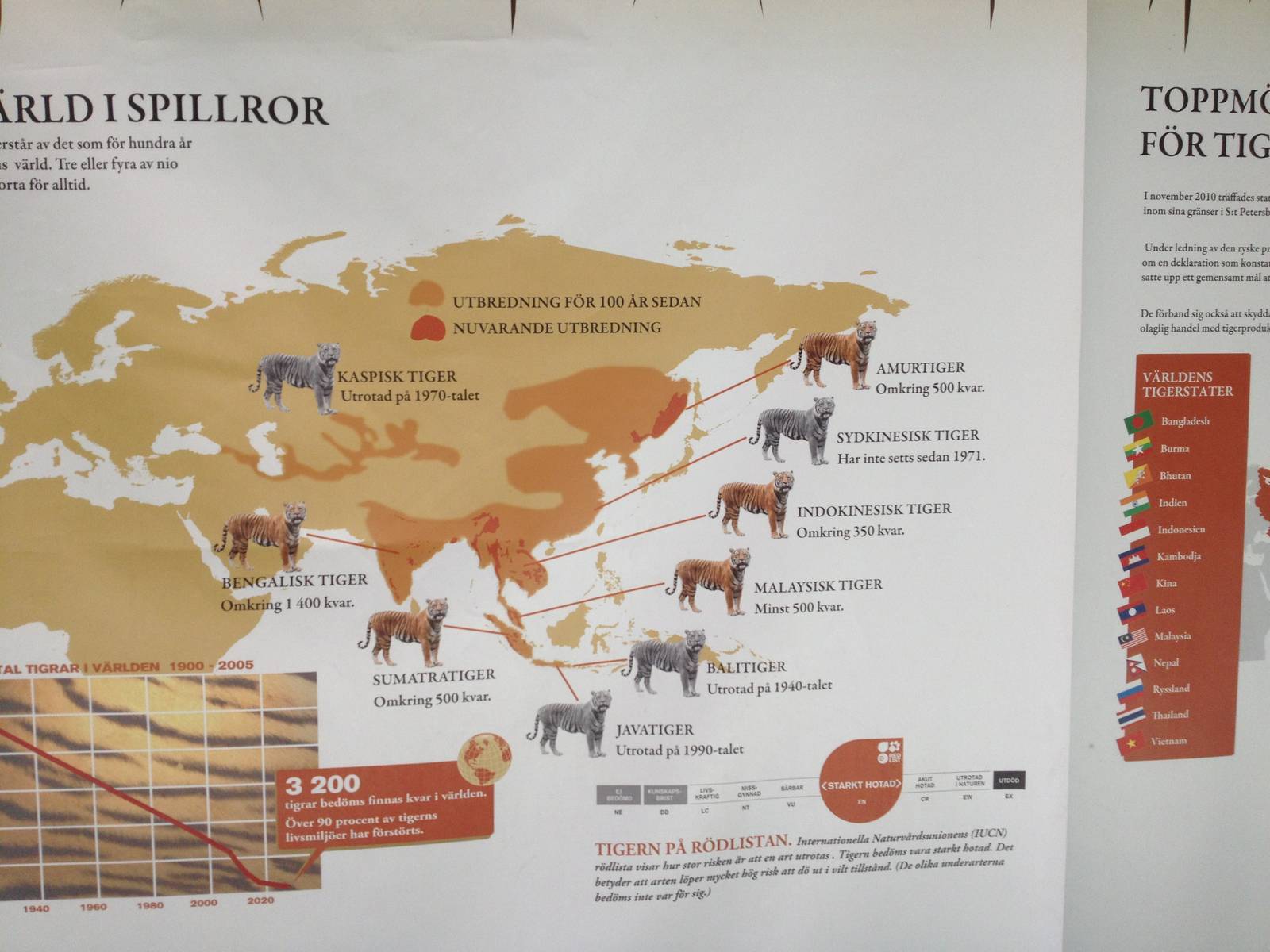 Tigers of the world sign.