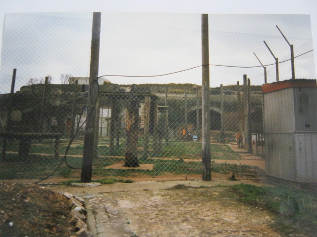 Tigers - Shere Khan and Tamara 1998.