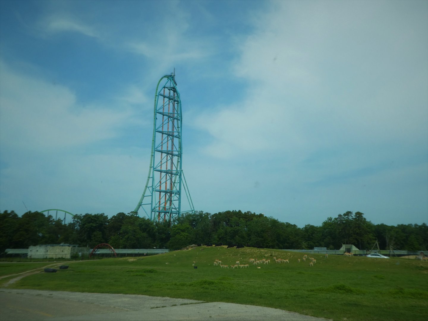 Tigris Asiana - General View (Kingda Ka in the Background)
