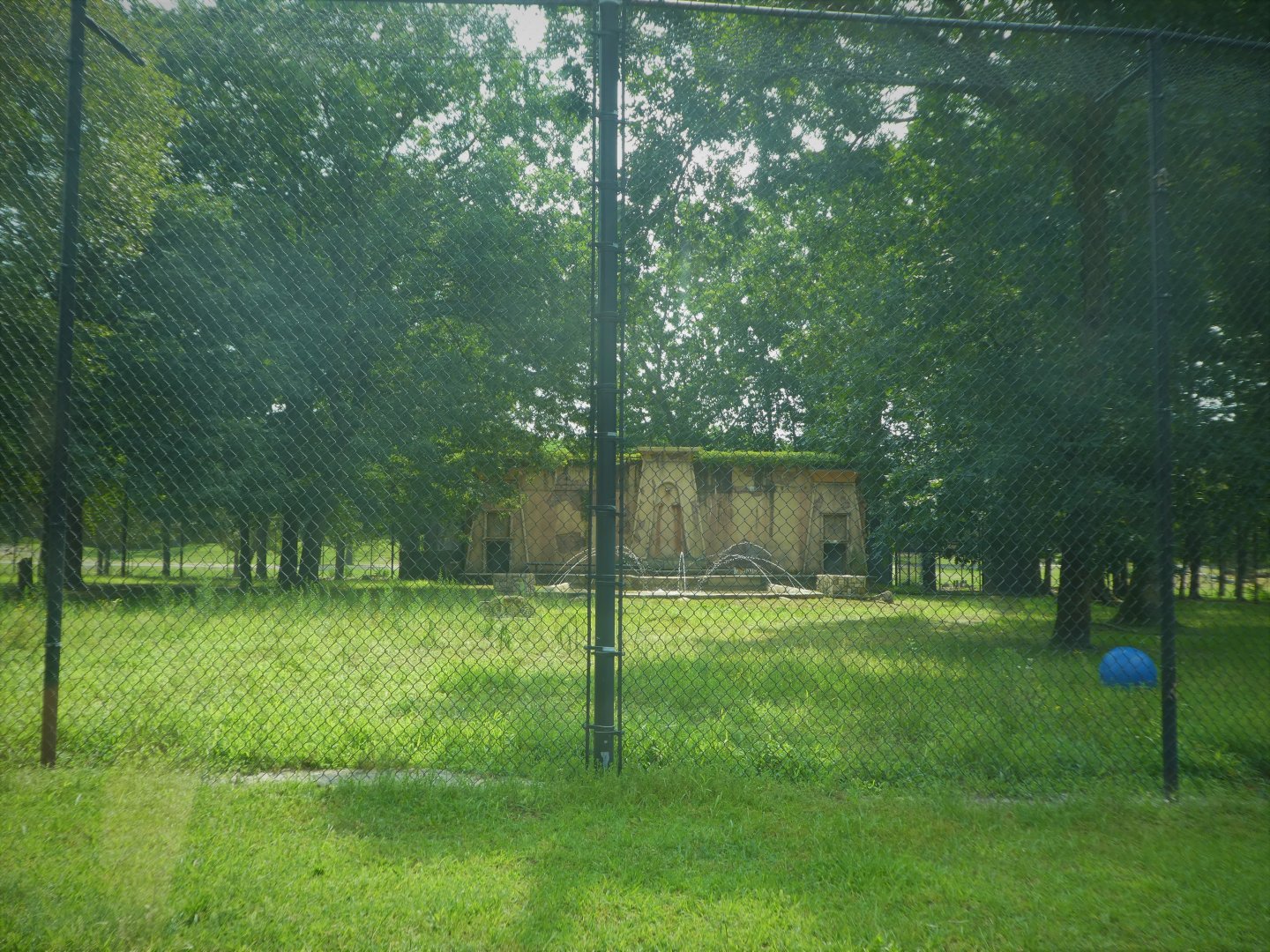 Tigris Asiana - Tiger Exhibit (Generic)