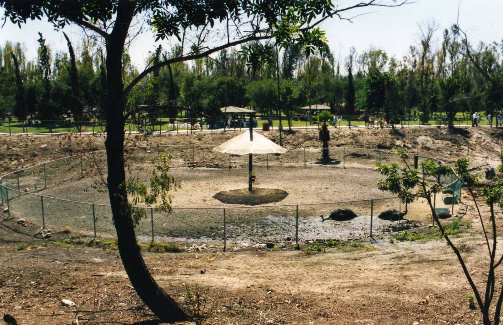 Tijuana Zoo-African Savannah