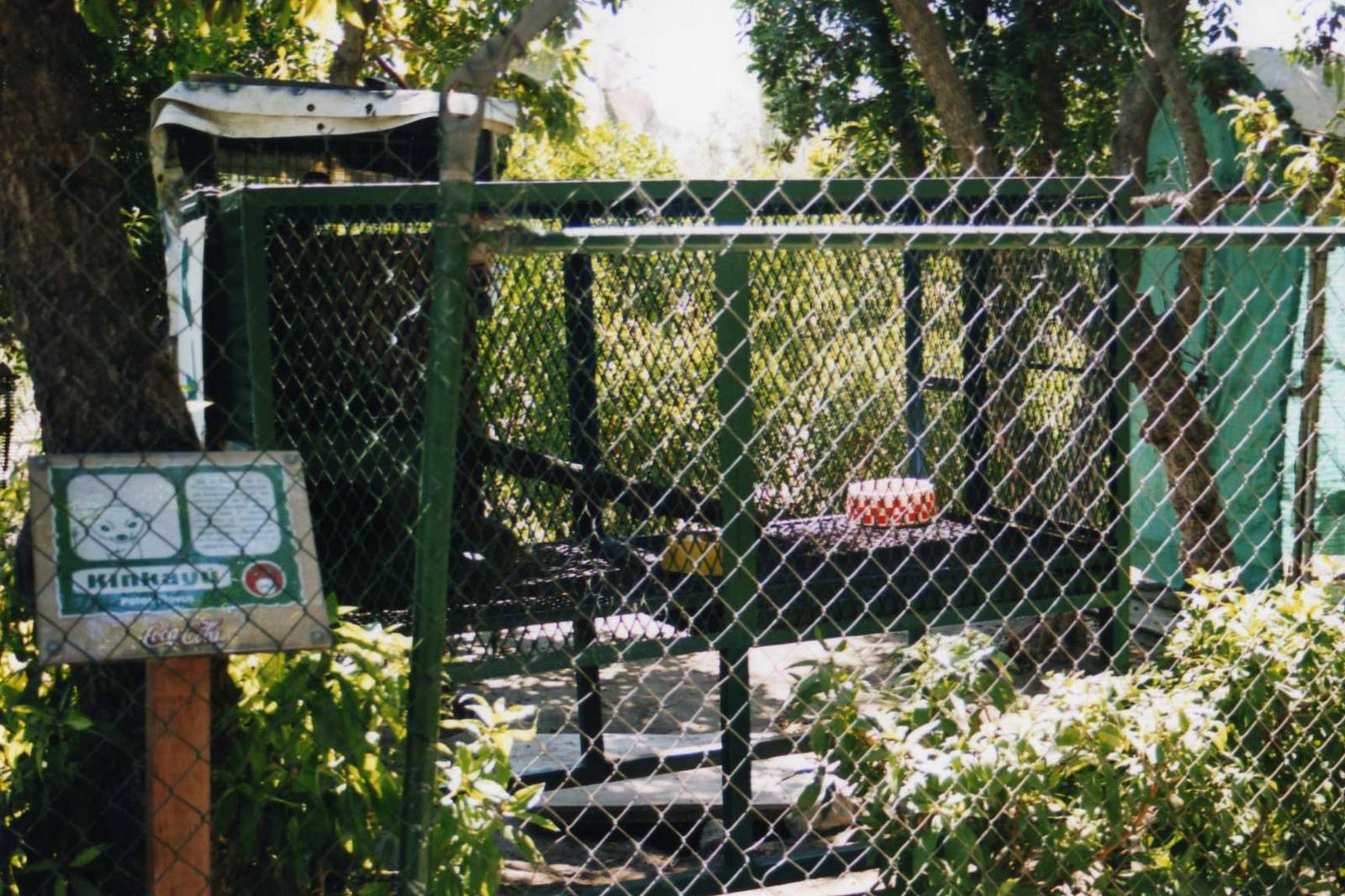 Tijuana Zoo-Kinkajou Cage