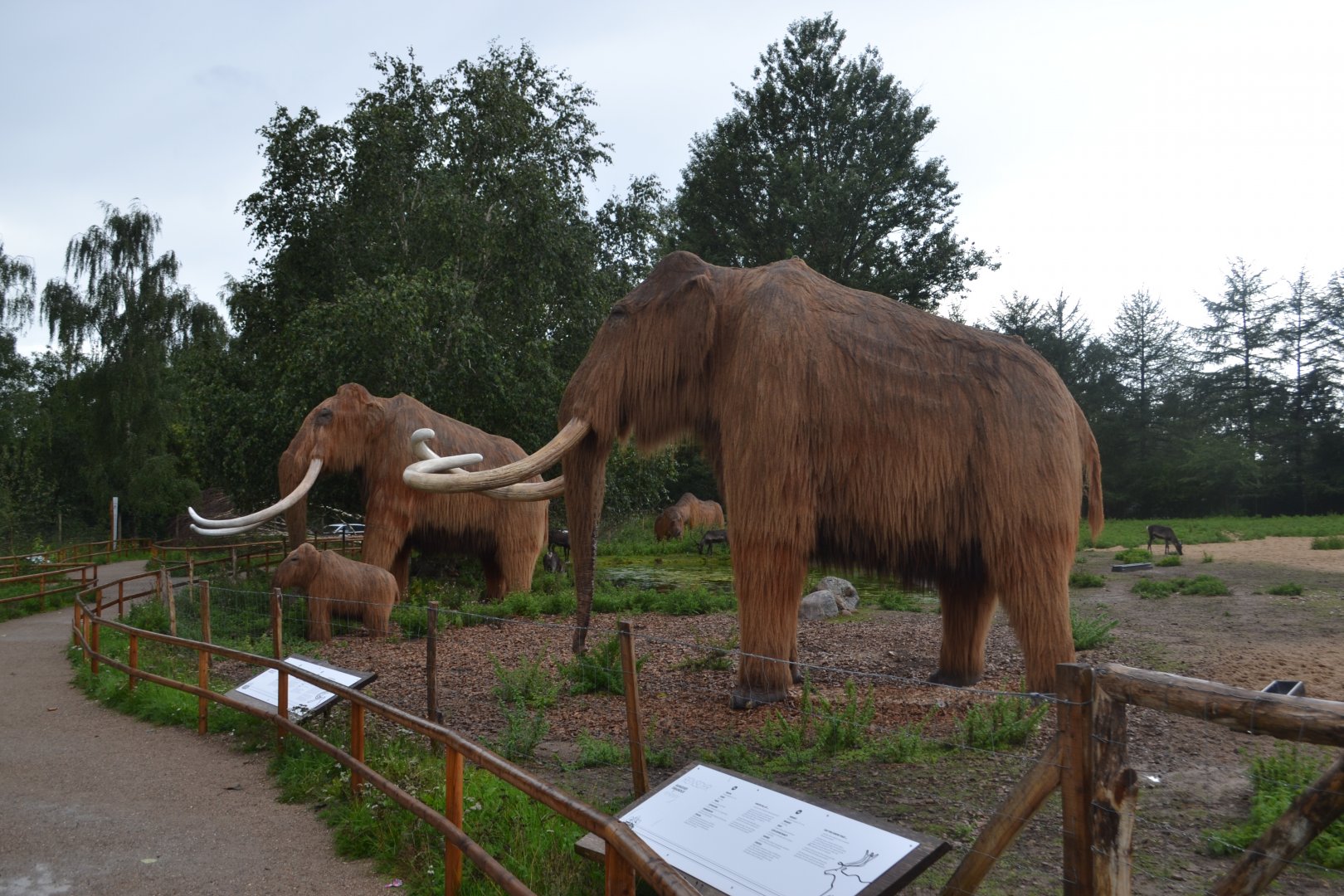 Tilbage til istiden in Givskud Zoo