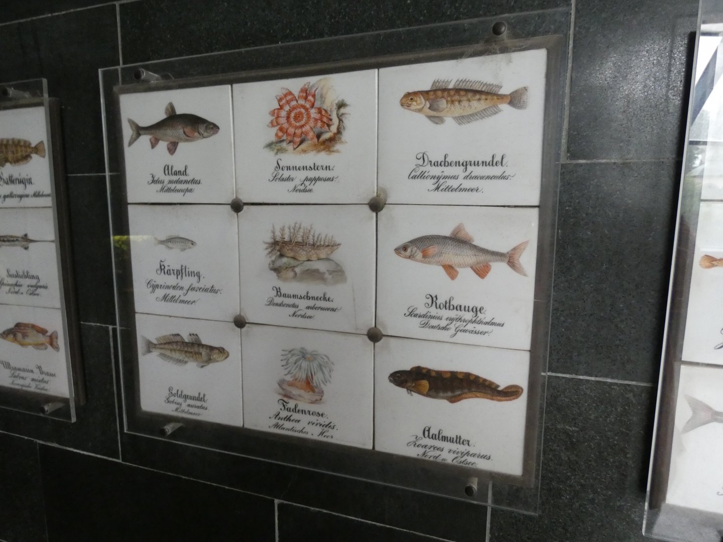 Tiled Signage in Aquarium