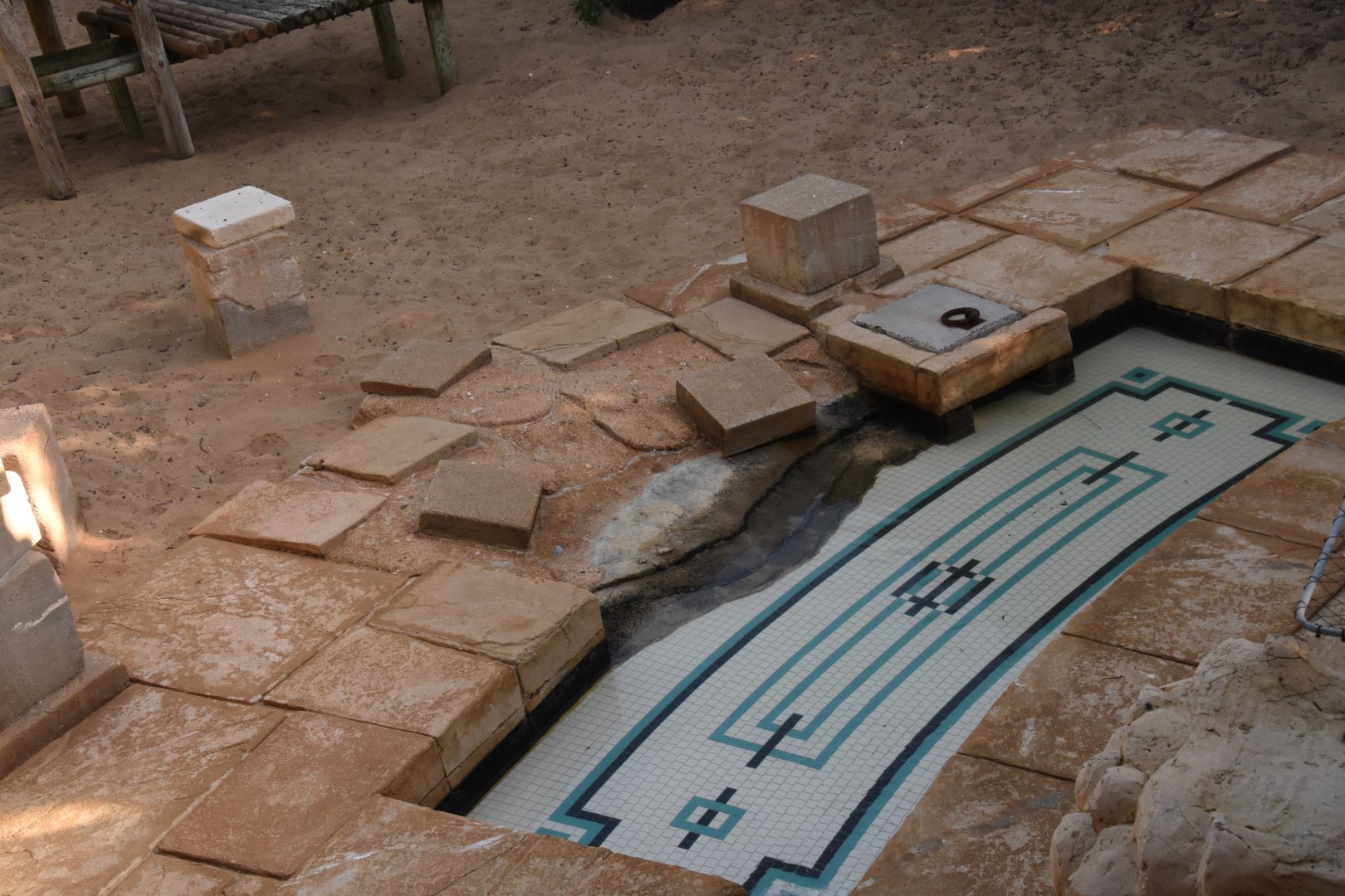 Tiles in the Lion enclosure