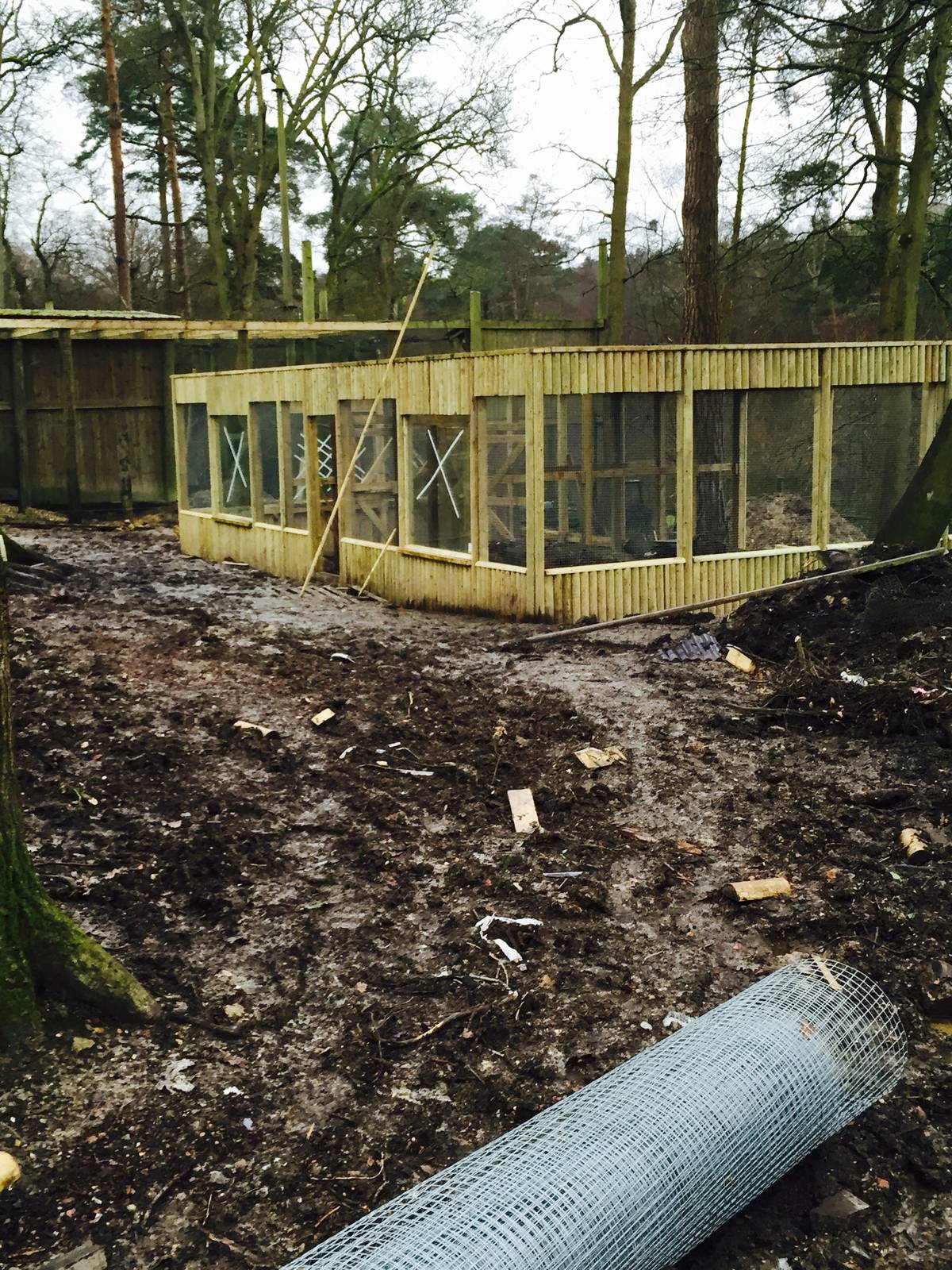 Tilgate February 2015