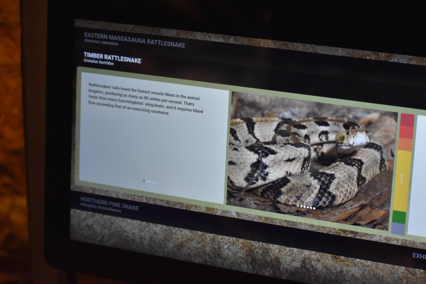 Timber Rattlesnake Signage