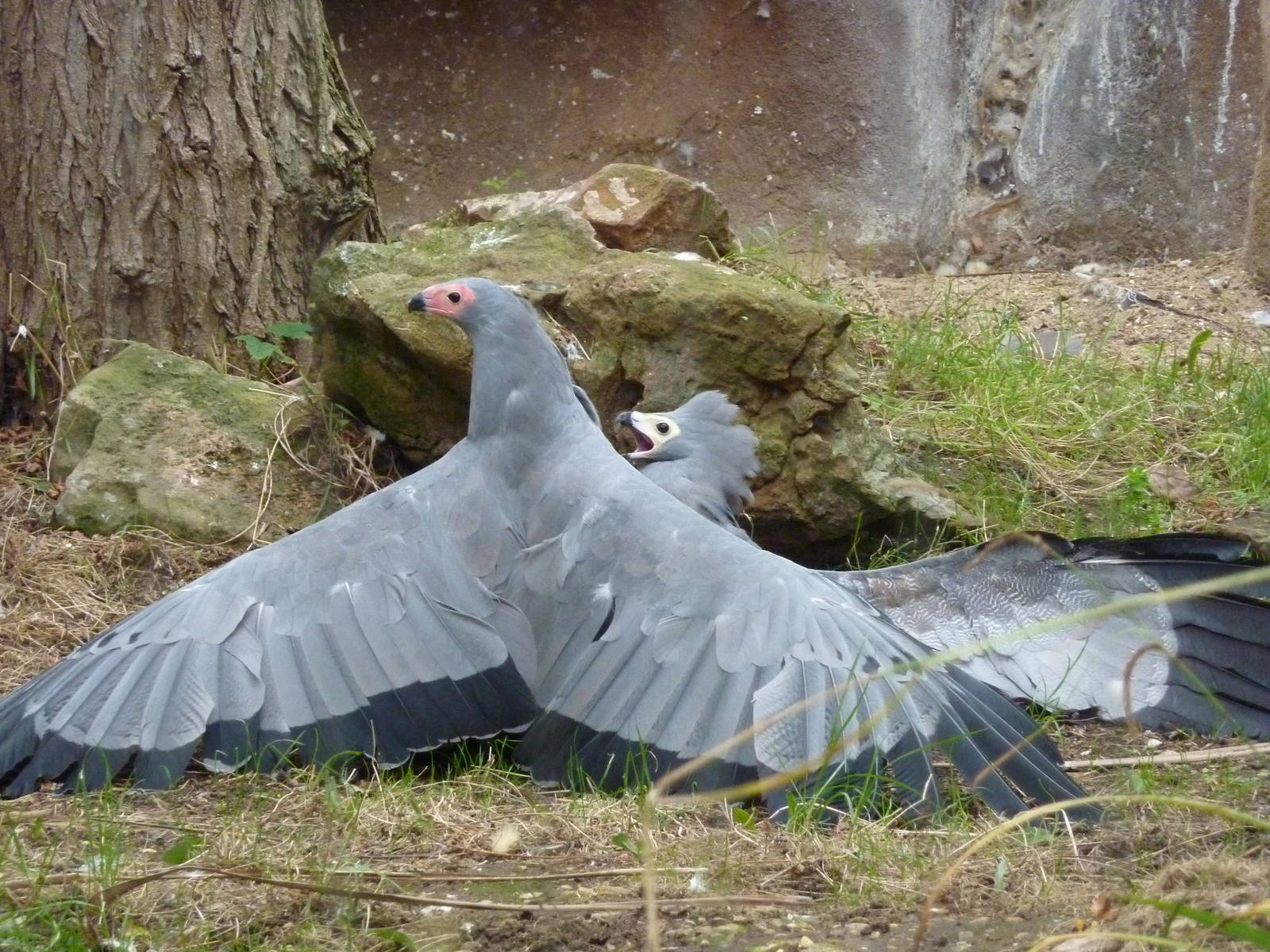 Time for a break? 30th September 2012.