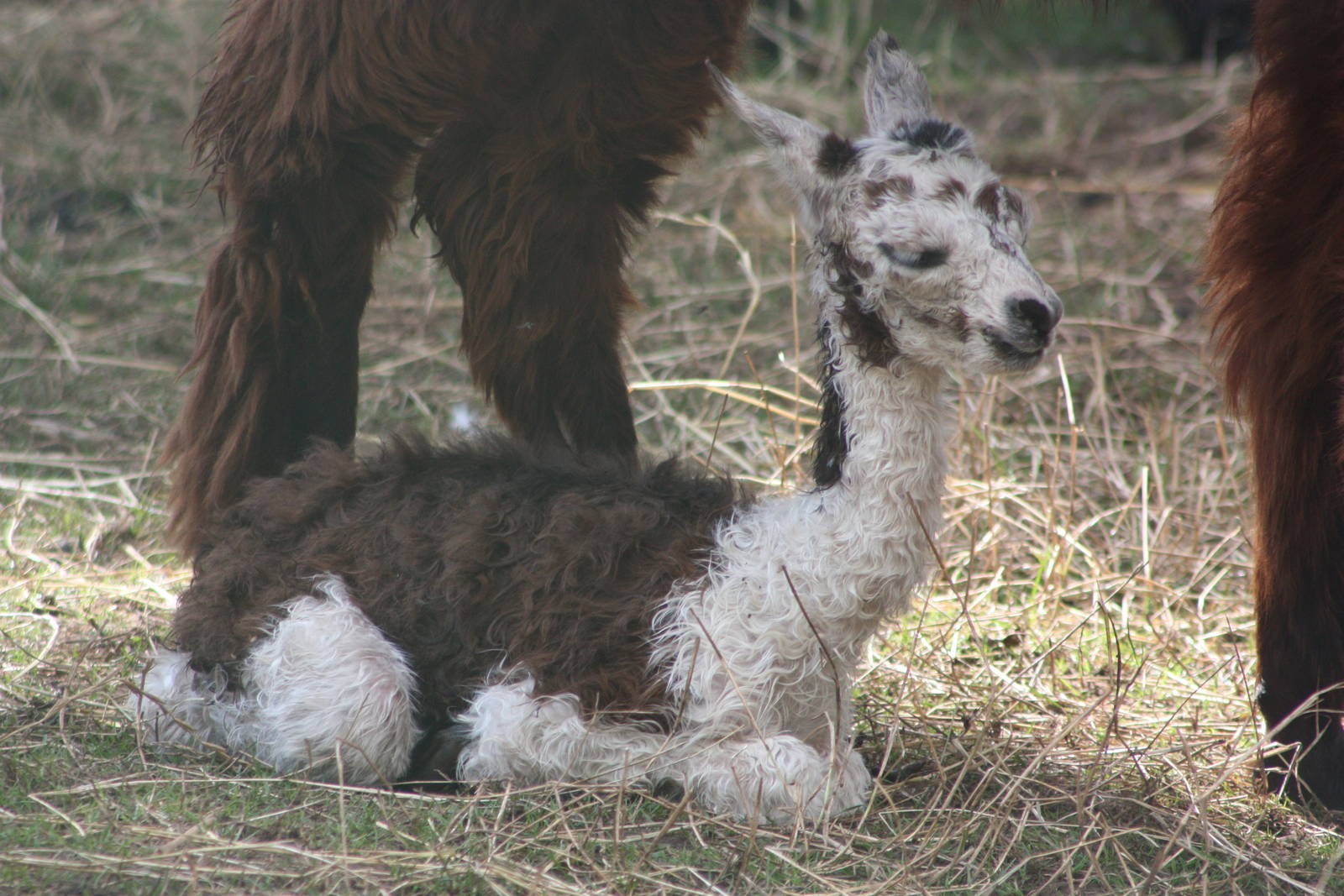 Time for a rest, 24th August 2014